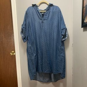 Size 2x denim polka dot dress